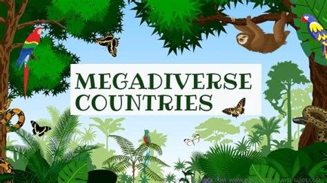 megadiversity countries|Megadiverse countries and why they are vital for conserving the .
